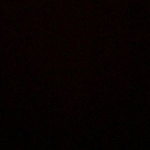 Meet your Posher, Bracey